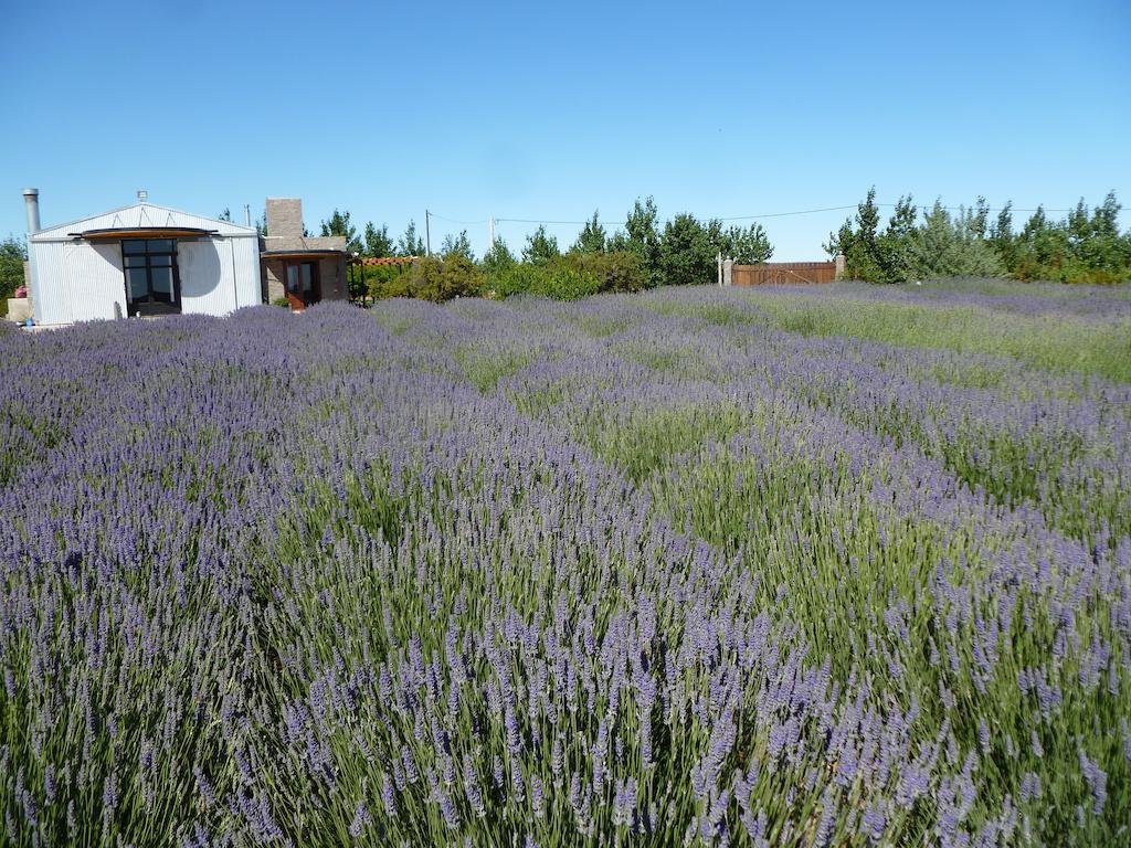 La Calandria B&B - Destilería de Lavandas Puerto Madryn Exterior foto