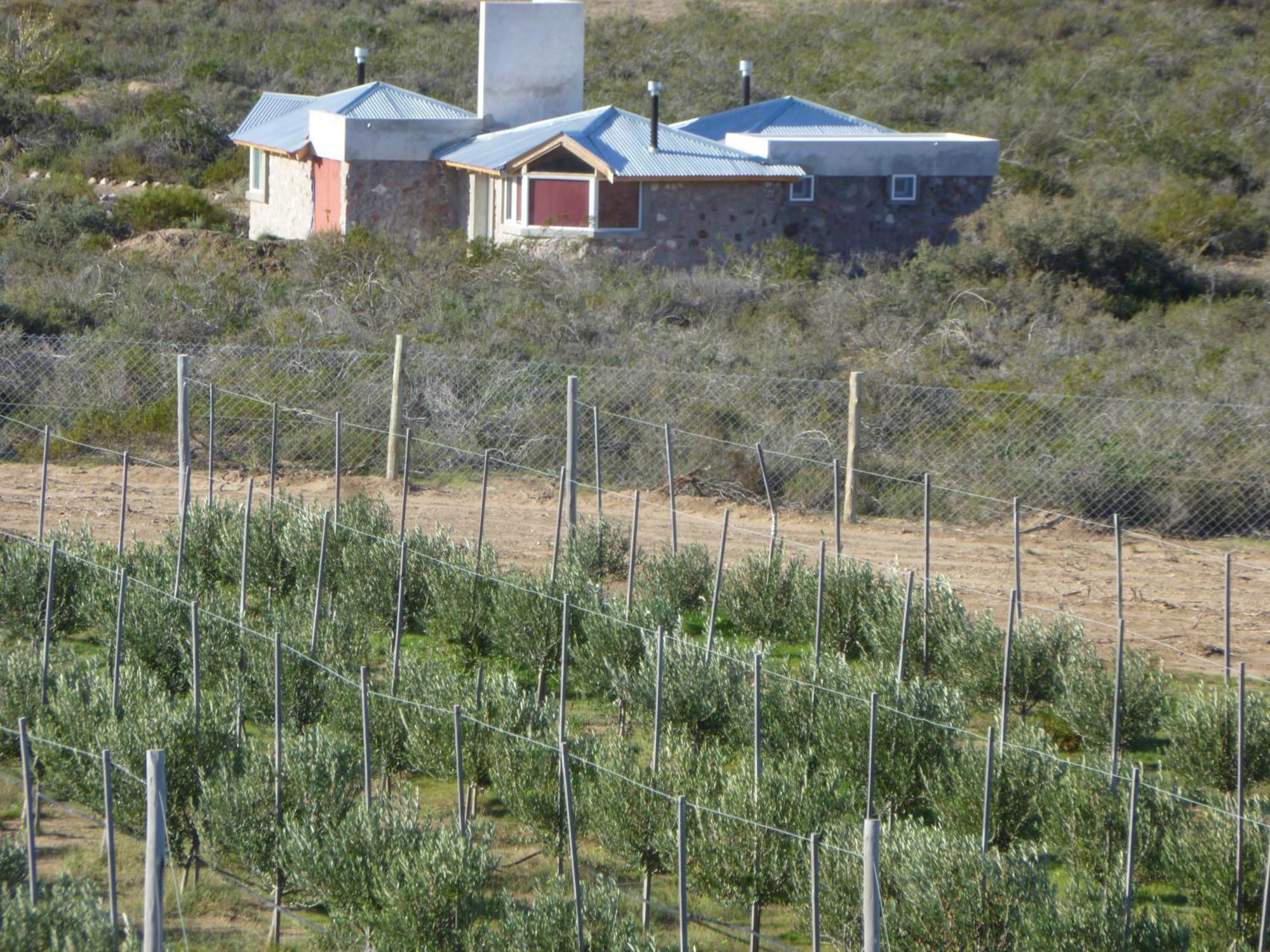 La Calandria B&B - Destilería de Lavandas Puerto Madryn Exterior foto