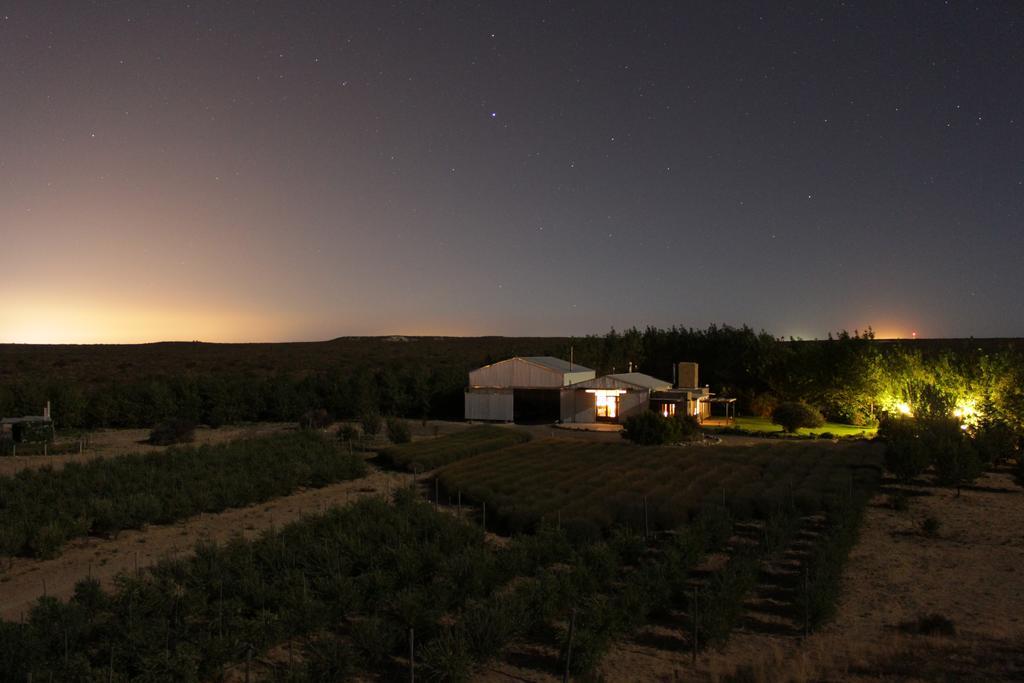 La Calandria B&B - Destilería de Lavandas Puerto Madryn Exterior foto