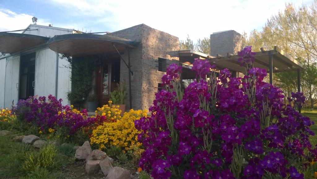 La Calandria B&B - Destilería de Lavandas Puerto Madryn Exterior foto