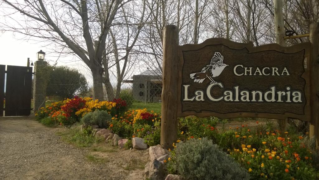 La Calandria B&B - Destilería de Lavandas Puerto Madryn Exterior foto